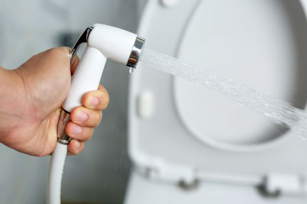 Cost of Bidet Installation in Pasadena