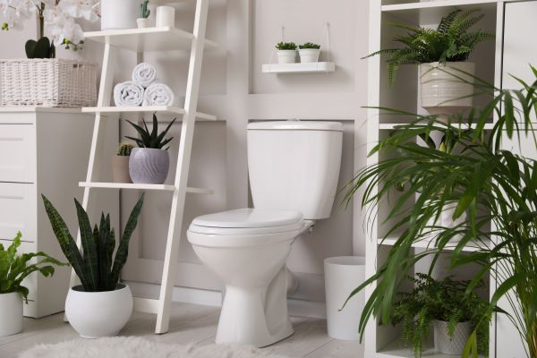 Cost of Toilet Repair in Pasadena