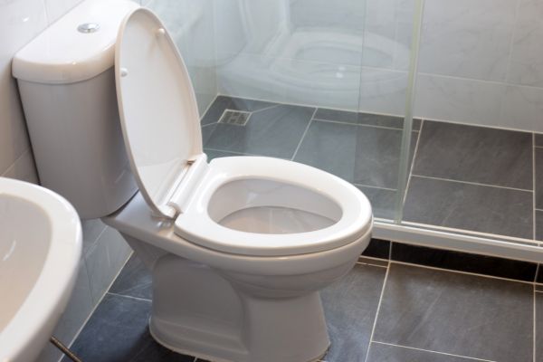 Cost of Toilet Replacement in Pasadena