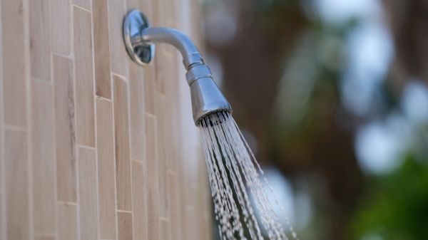 Cost of Showerhead Repair in Pasadena