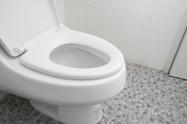 Cost of New Toilet Installation in Pasadena