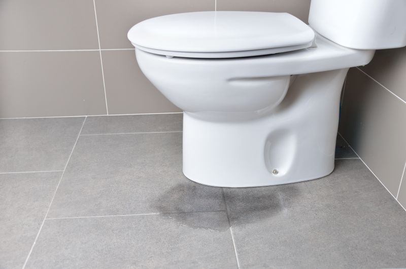 Toilet Leak Repair